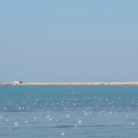Adriatic Отель типа 